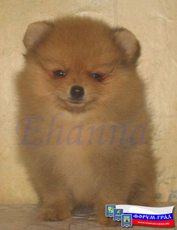 детки подросли детки подросли