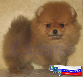 детки подросли детки подросли