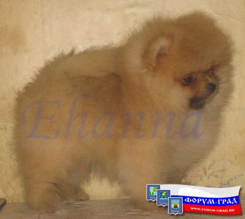 детки подросли детки подросли