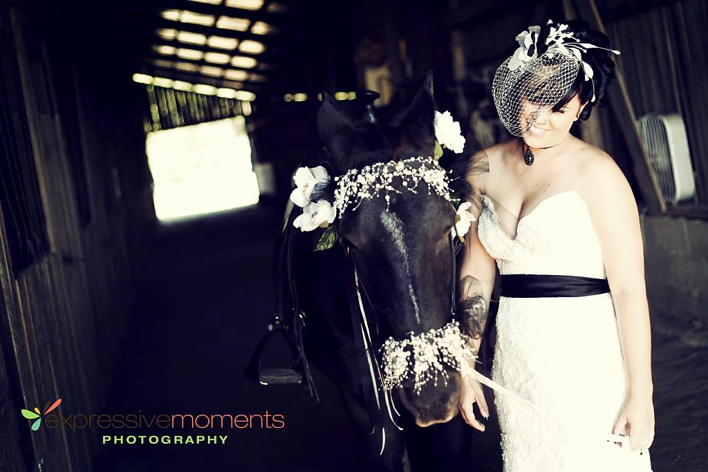 horse-themed-wedding