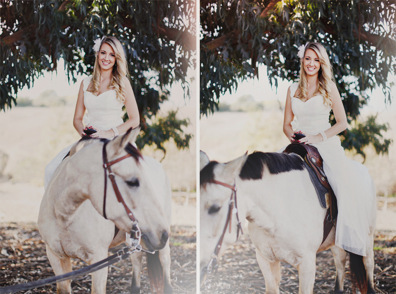 horse-themed-wedding