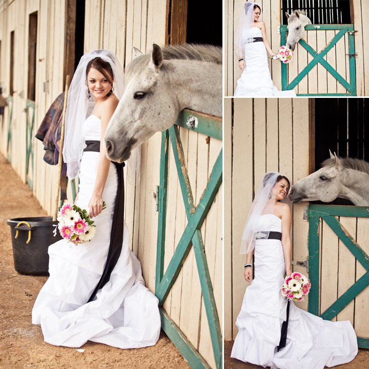 horse-themed-wedding