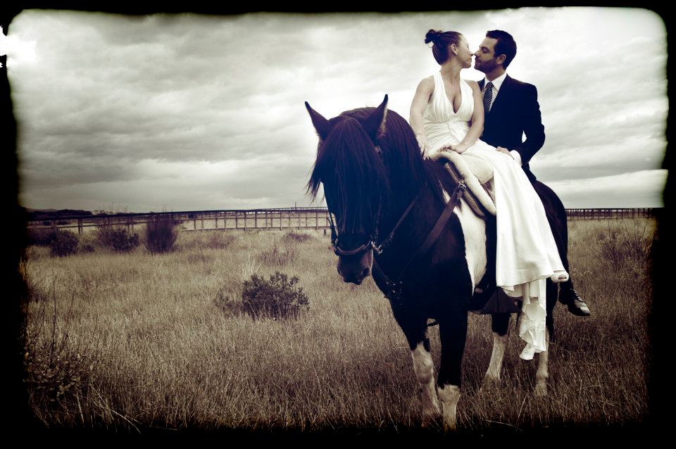 horse-themed-wedding