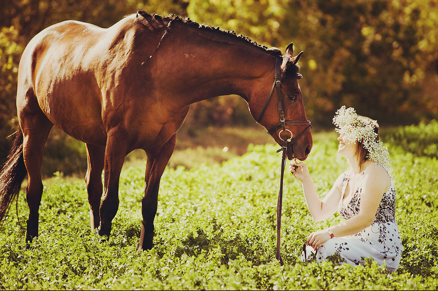 horse-themed-wedding