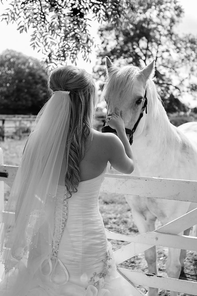 horse-themed-wedding