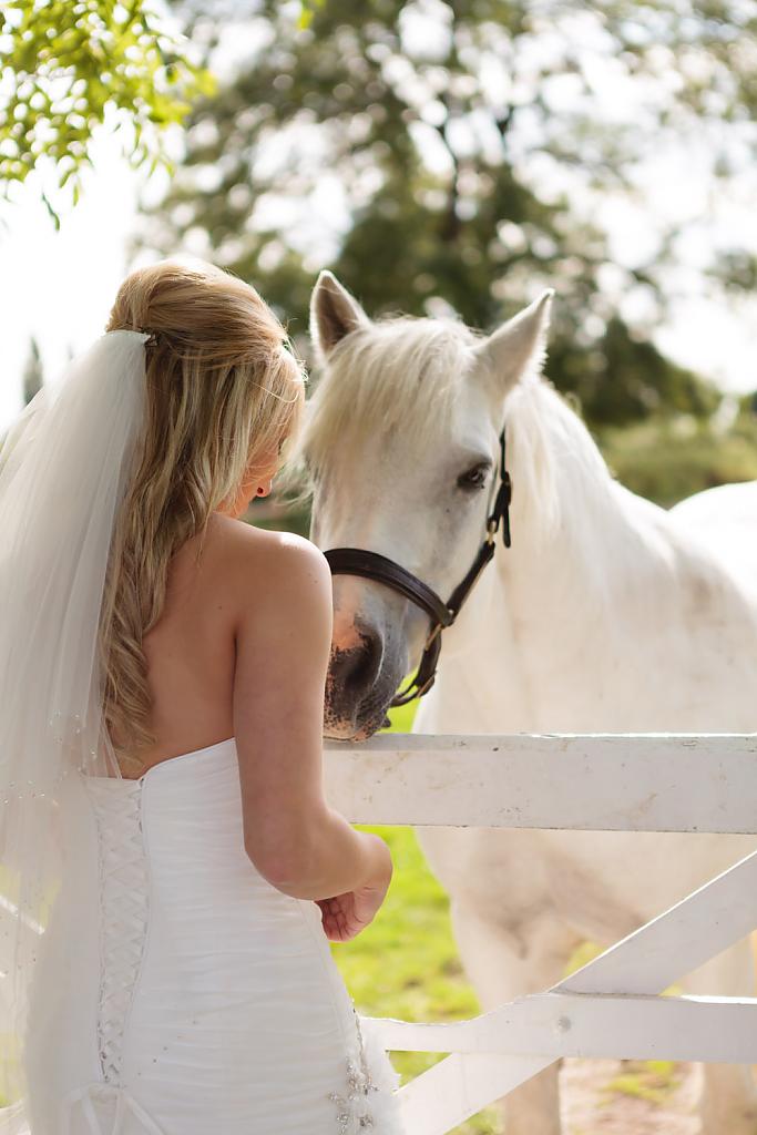 horse-themed-wedding