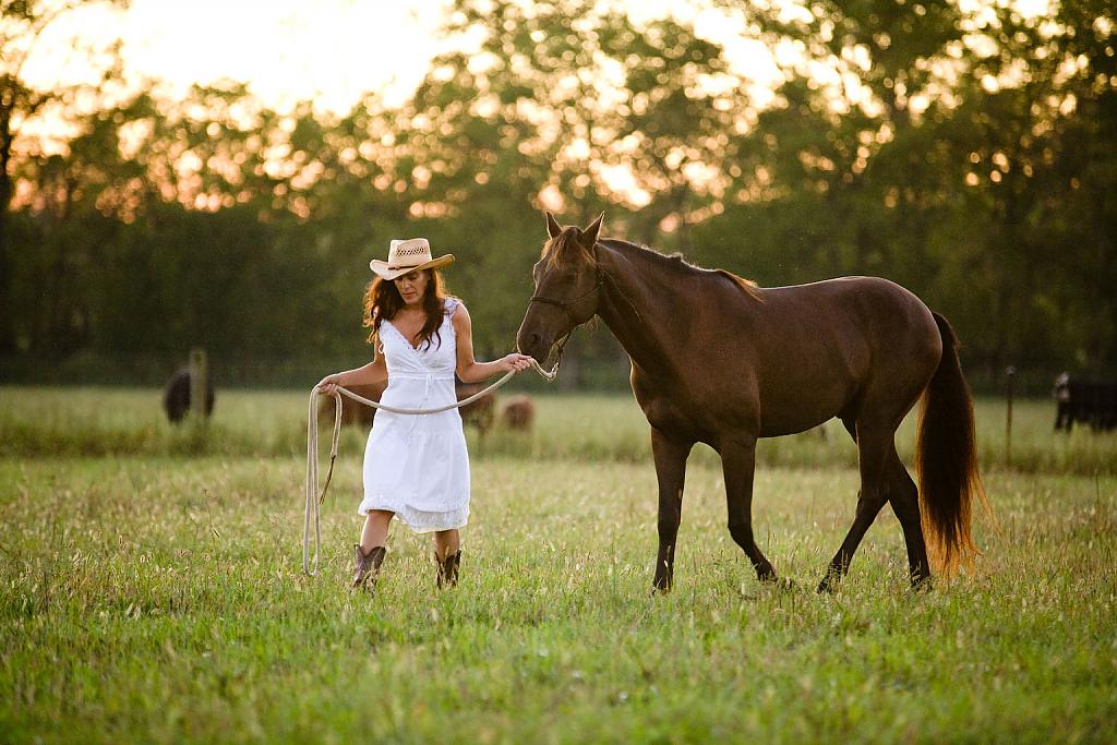 horse-themed-wedding