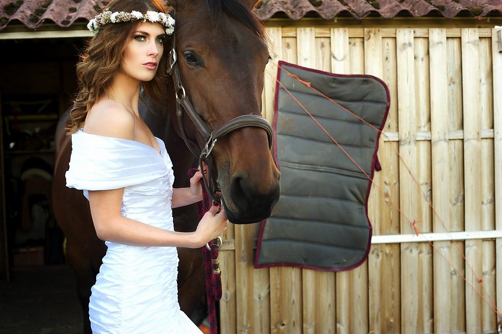 horse-themed-wedding