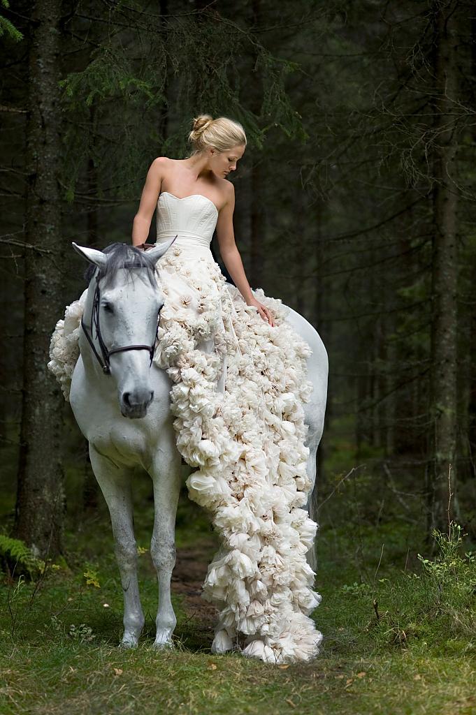 horse-themed-wedding