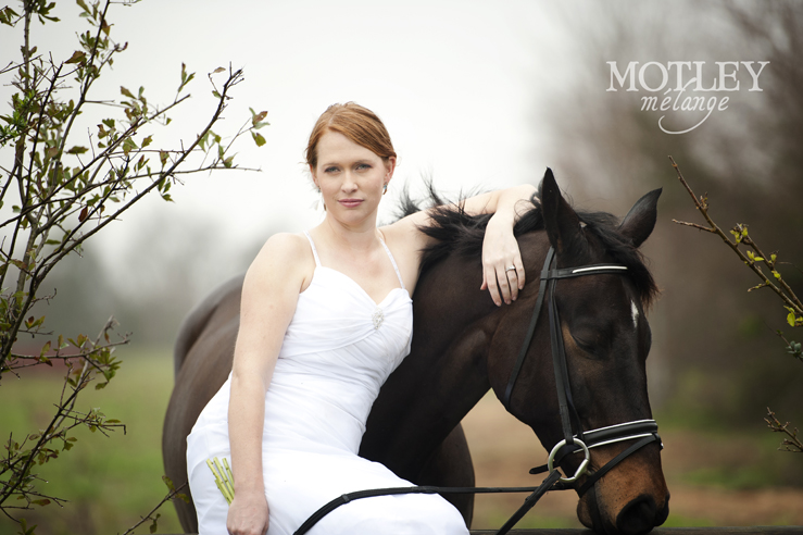 horse-themed-wedding