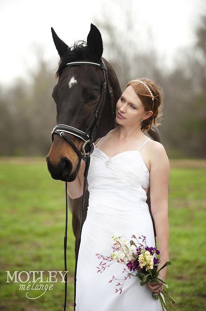 horse-themed-wedding