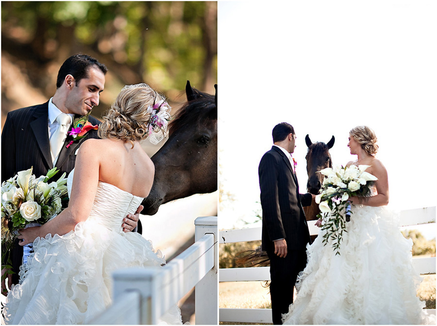 horse-themed-wedding-79