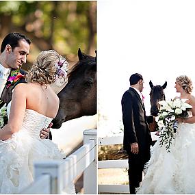 horse-themed-wedding-79