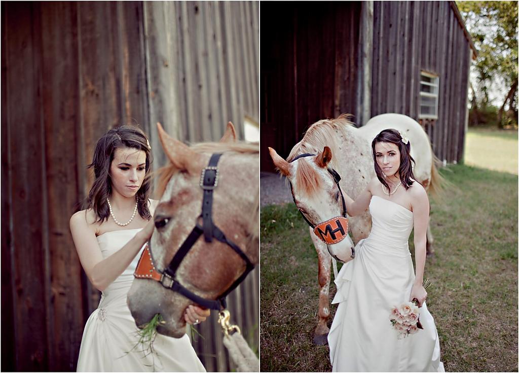 horse-themed-wedding