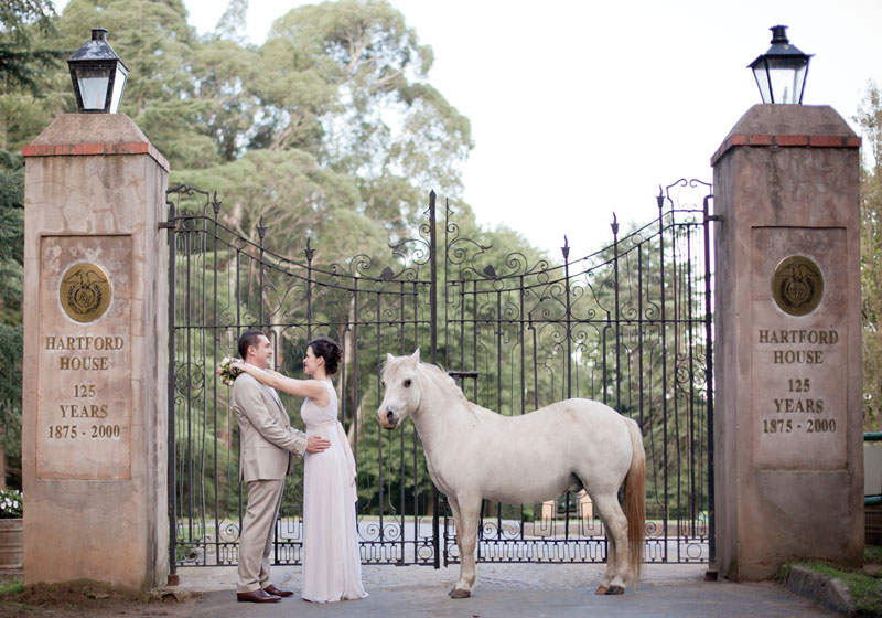 horse-themed-wedding