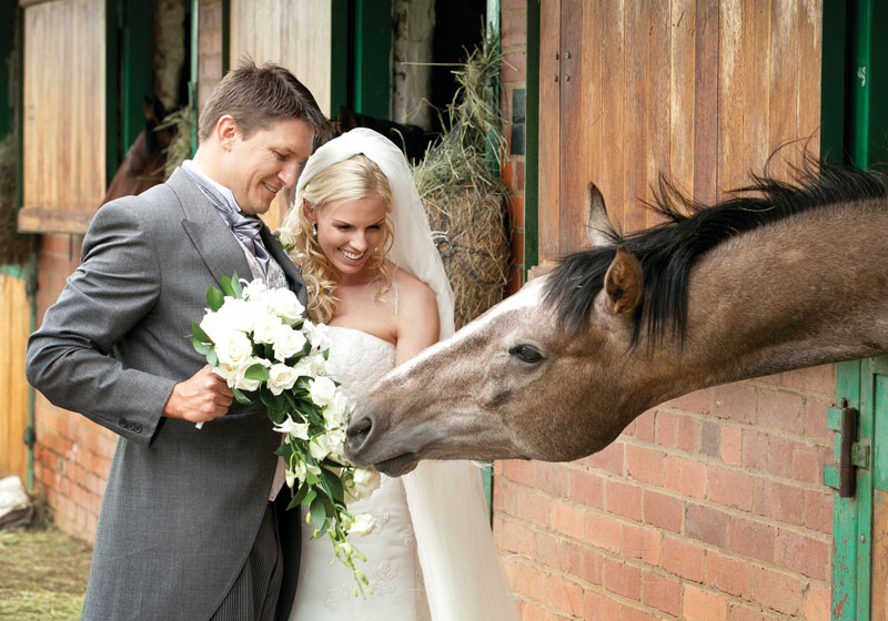 horse-themed-wedding