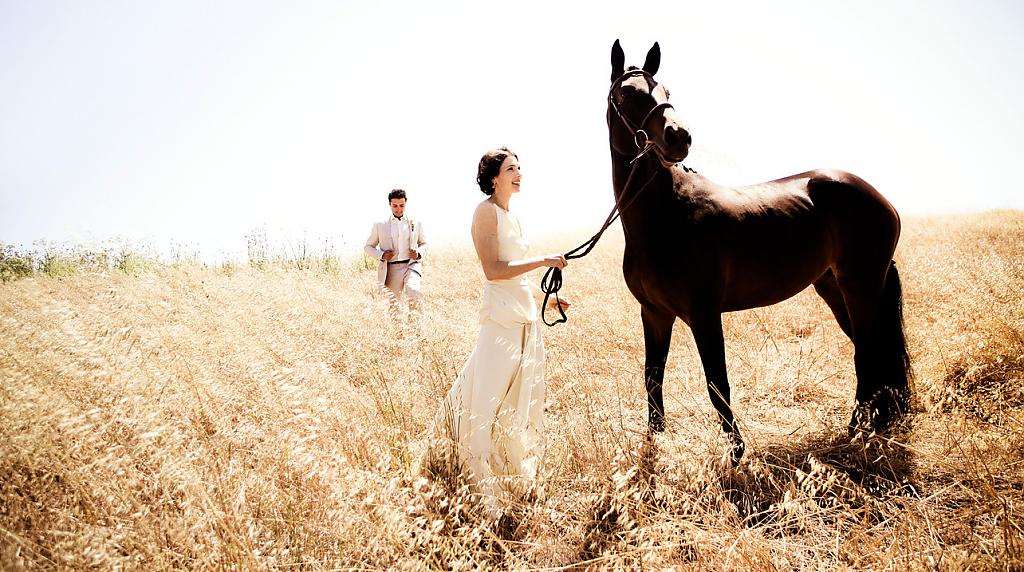 horse-themed-wedding