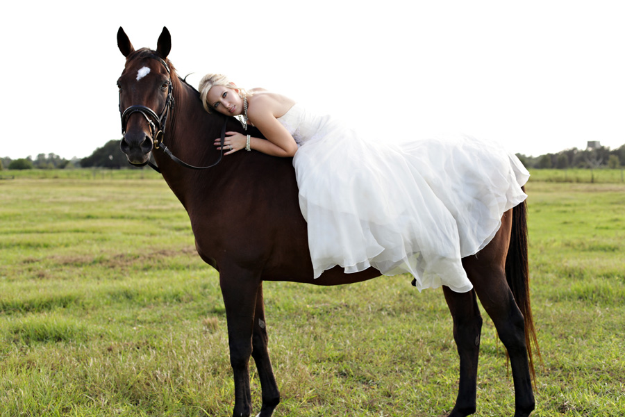 horse-themed-wedding