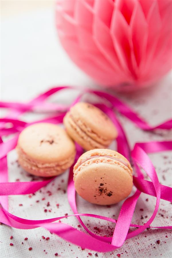 delicious-macarons-for-your-wedding-02