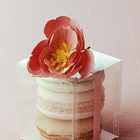 delicious-macarons-for-your-wedding-38