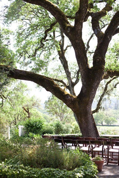 andrea-moayas-spontaneous-ranch-wedding