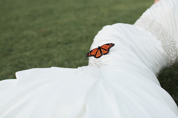 arizona-elopement-arynn-and-devron