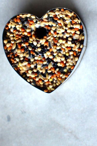birdseed-favors