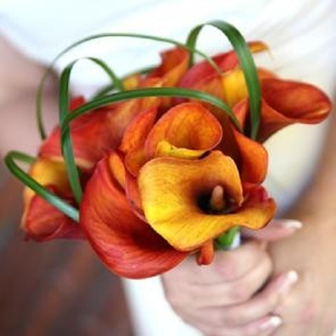bright-orange-bridal-bouquets