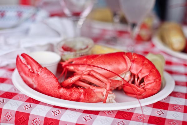 carla-joes-east-coast-ferry-wedding
