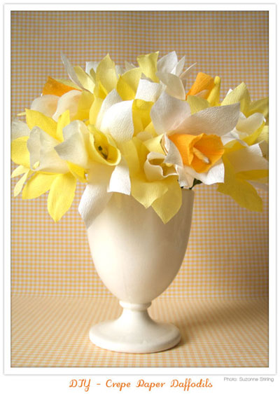 daffodils sm