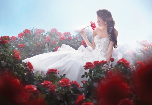 disney-wedding-dresses-by-alfres-angelo