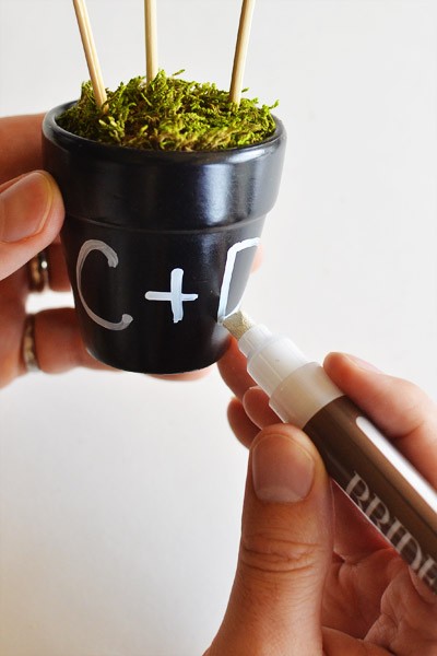 diy-flowerpot-favors