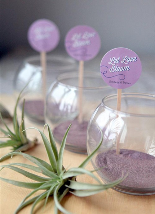 diy-mini-terrariums-as-guest-favors