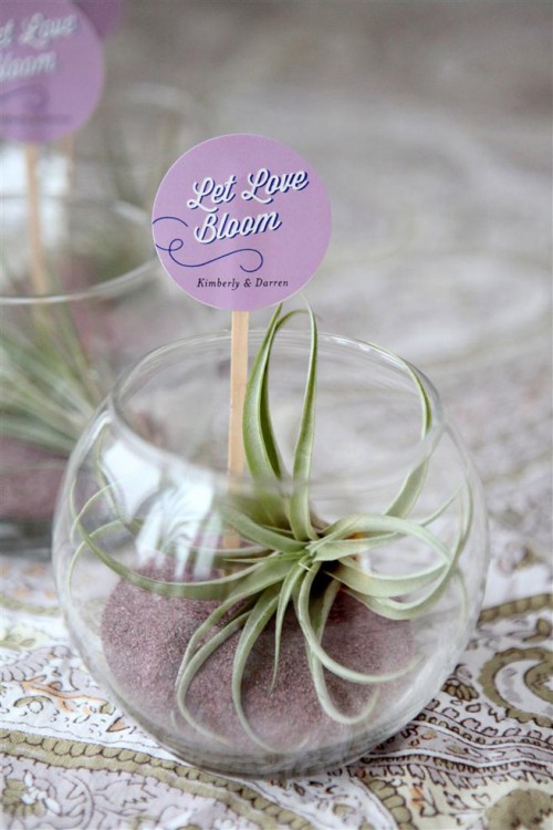 diy-mini-terrariums-as-guest-favors