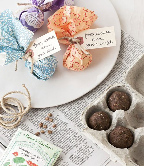 diy-seed-bombs