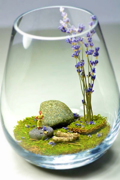 diy-terrarium