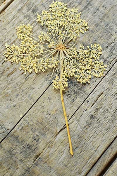 dried-flower-pendant