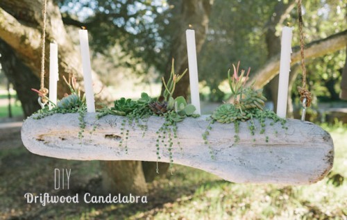 driftwood-candelabra