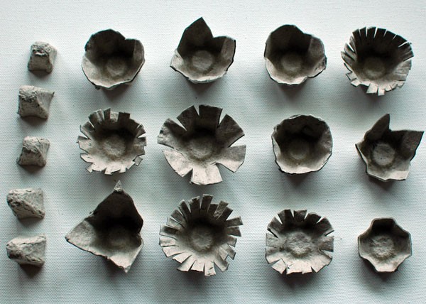 eggflowers