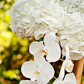 elegant-tim-burton-styled-wedding-inspiration-24