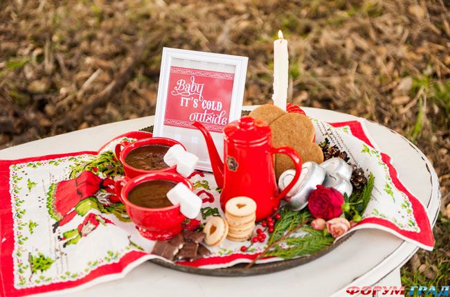 inspiring-swedish-christmas-wedding-theme