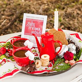 inspiring-swedish-christmas-wedding-theme-14