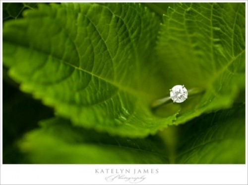 magically-beautiful-engagement-ring-shoots