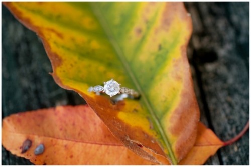 magically-beautiful-engagement-ring-shoots-13