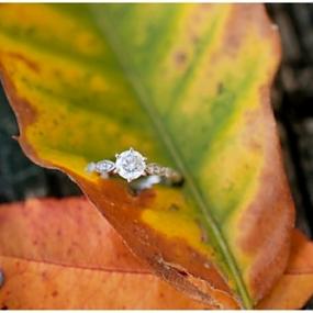 magically-beautiful-engagement-ring-shoots-13