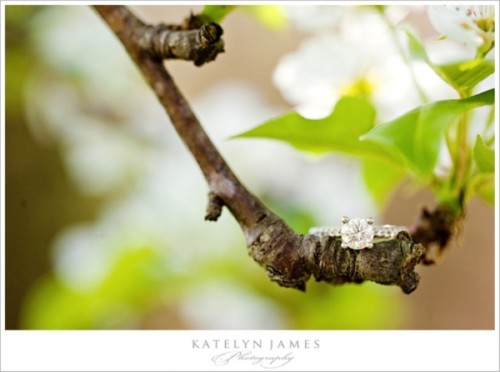 magically-beautiful-engagement-ring-shoots-2