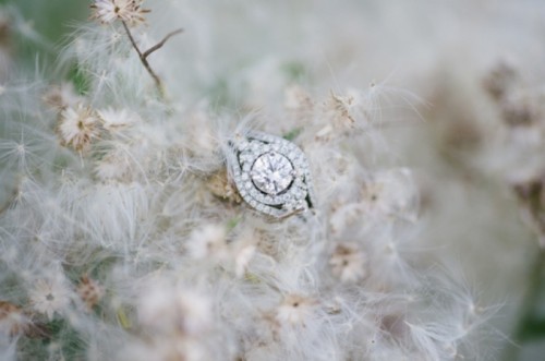 magically-beautiful-engagement-ring-shoots-3