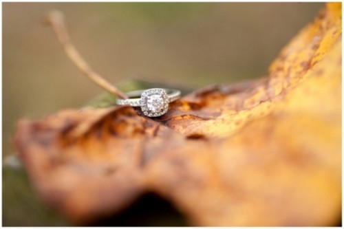 magically-beautiful-engagement-ring-shoots-9