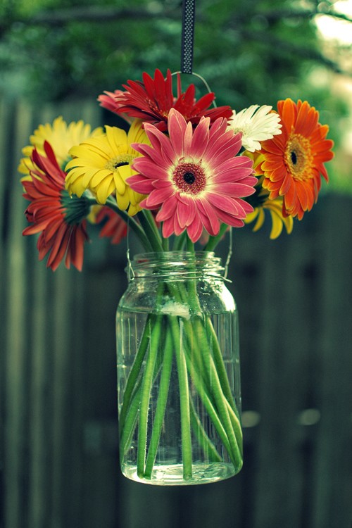 masonjar-flowers