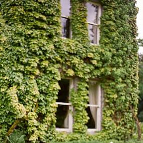 ravishing-vintage-ireland-wedding-inspiration-20